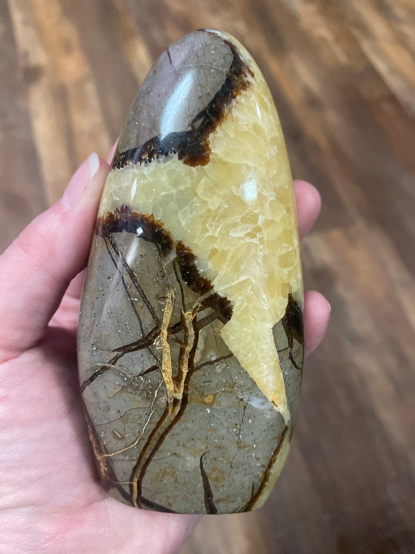 Septarian