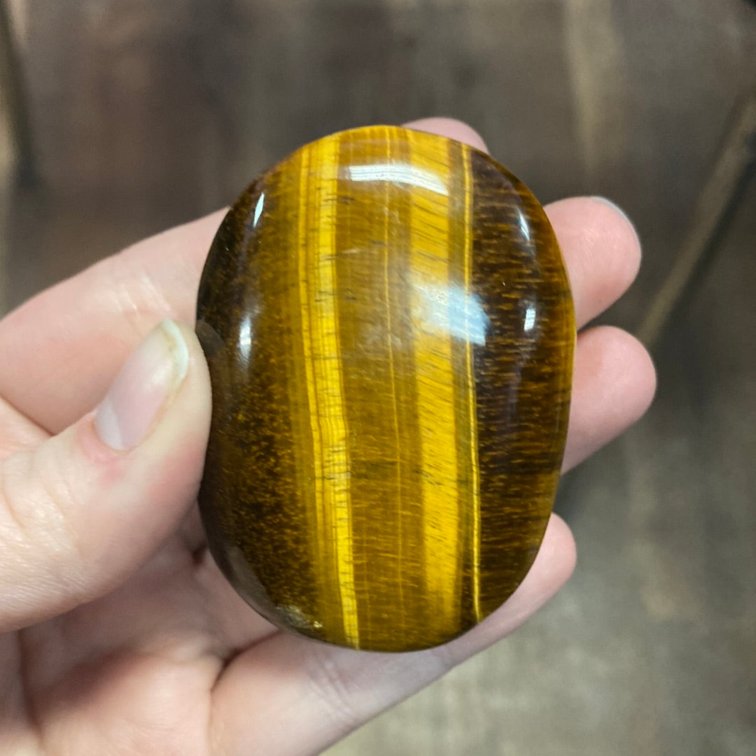 Tiger's Eye Palm