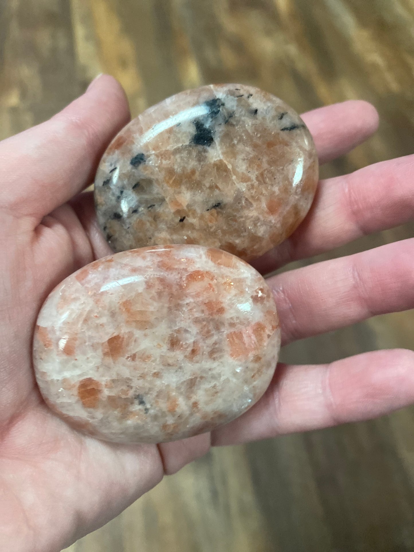 Sunstone Palm