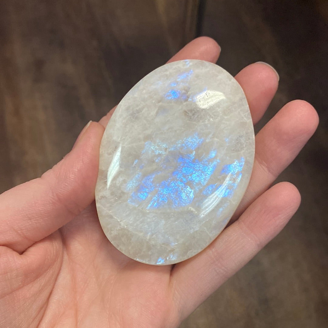 Moonstone Palm