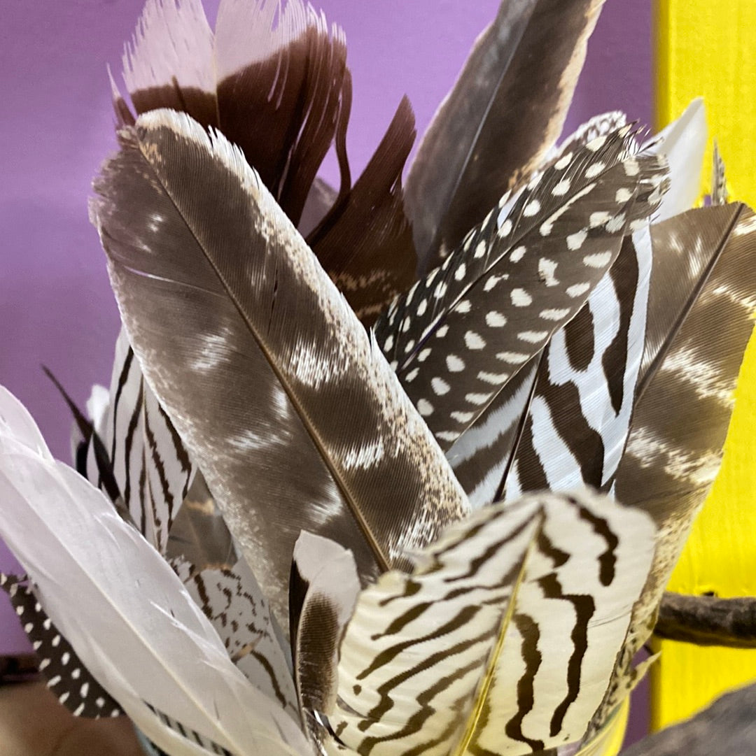 Feathers