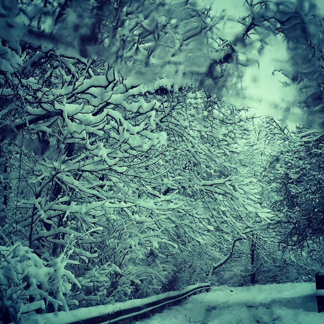 Ritual: Earth Activation- Yule, Dec 19th