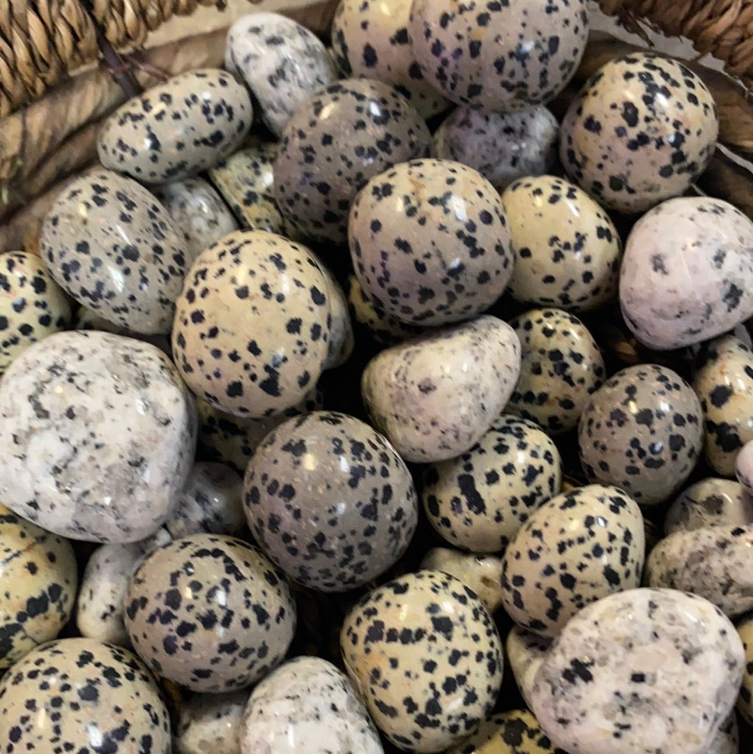 Tumbled Dalmatian Jadsper