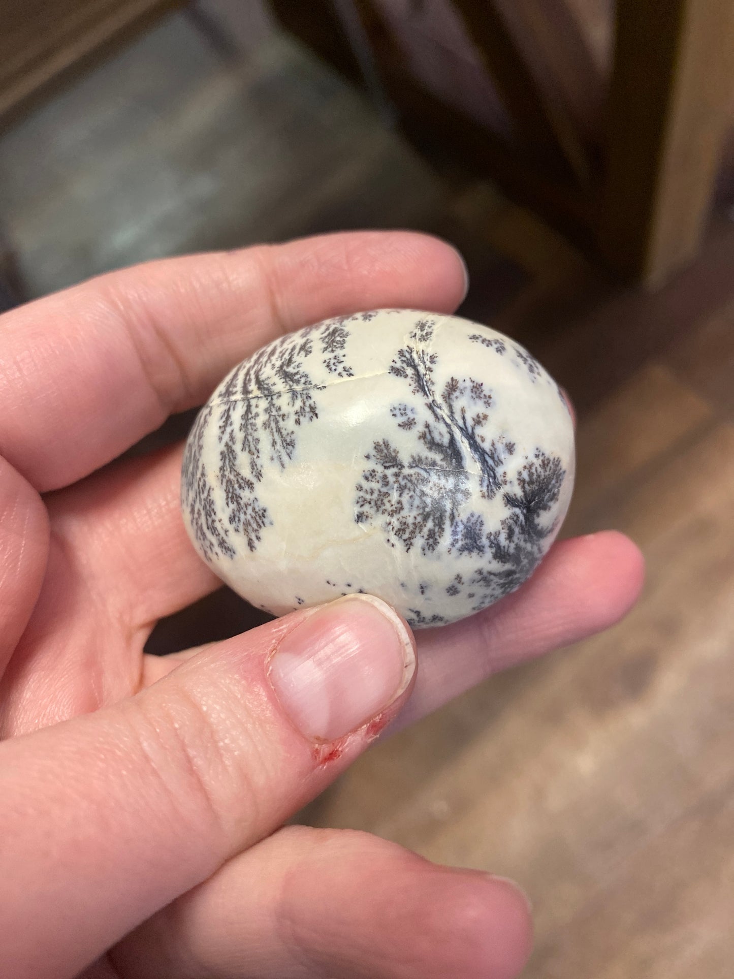 Dendritic Agate