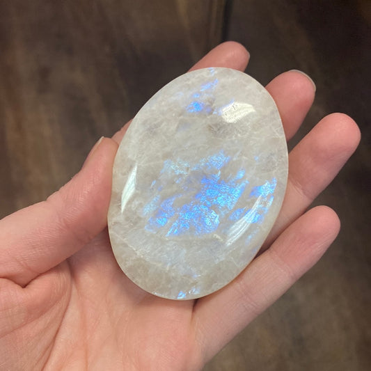 Moonstone Palm