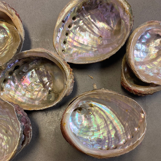 Shells
