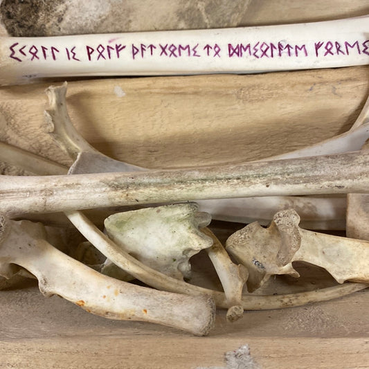 Many bones. 