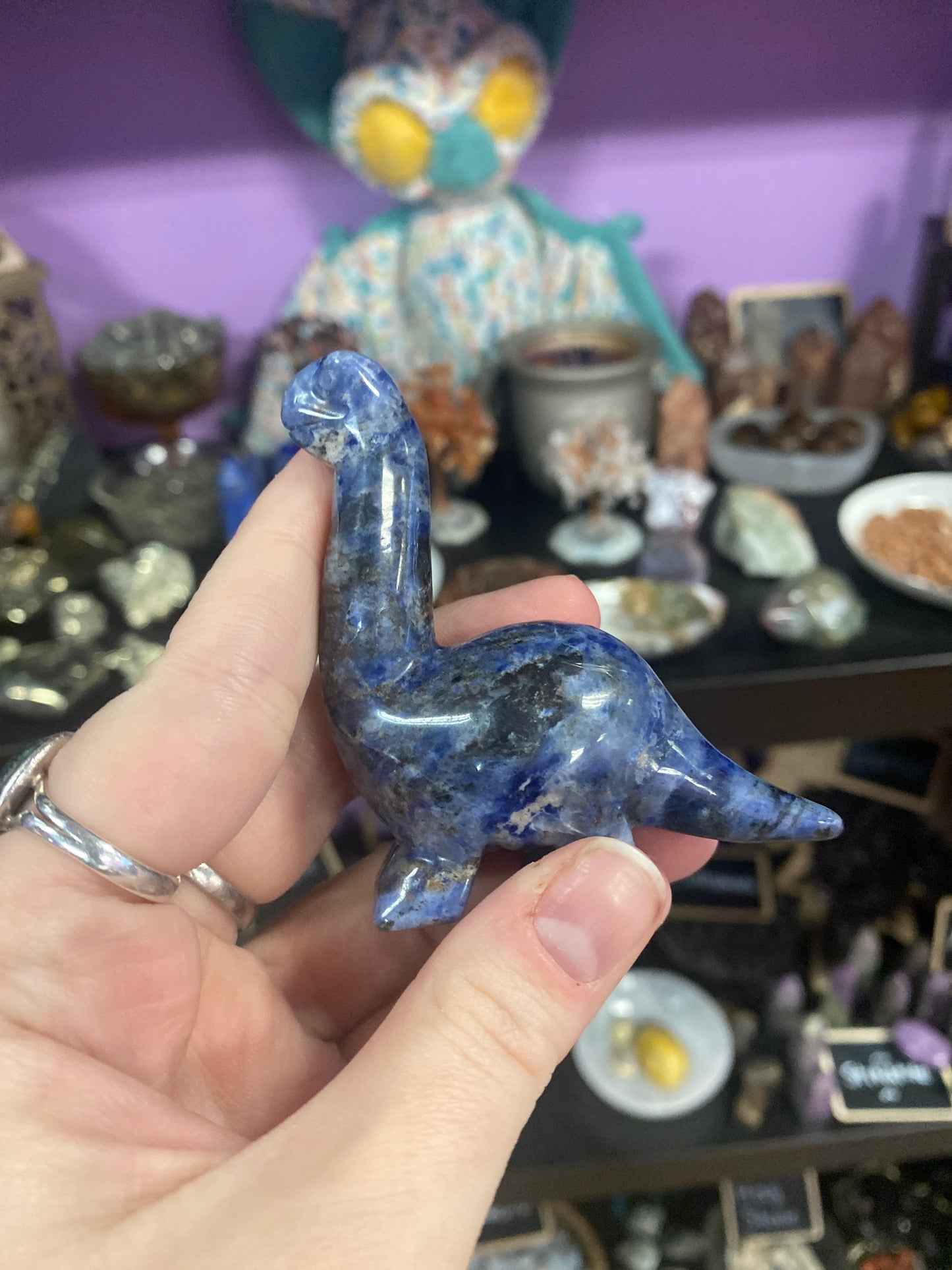Dinosaur