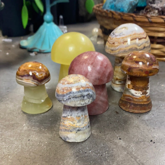 Mushroom