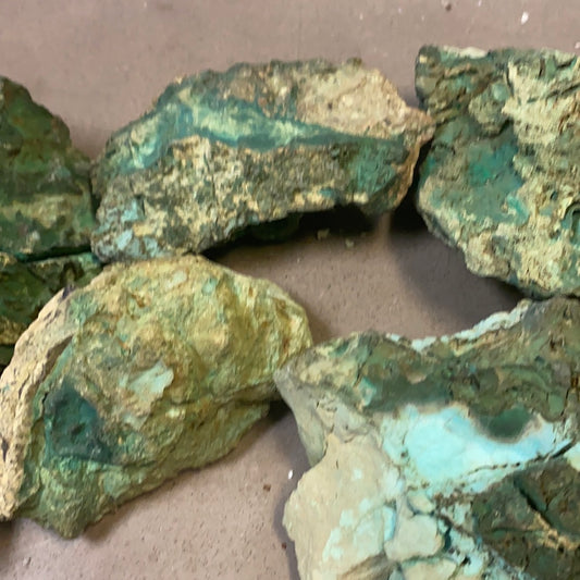Opalized Wood