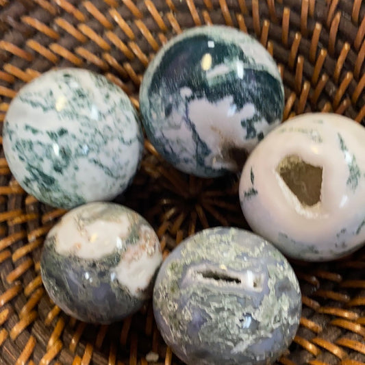 Moss Agate Palm